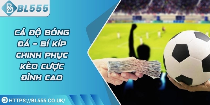 Cá độ bóng đá – Bí kíp chinh phục kèo cược đỉnh cao